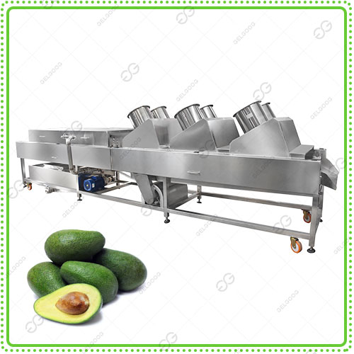avocado-air-drying-machine