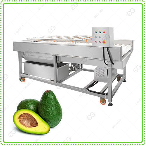 avocado-cleaning-machine