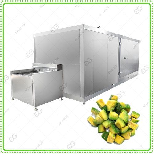 avocado-iqf-machine