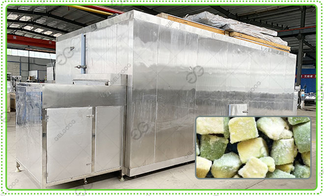 frozen-avocado-processing-equipment