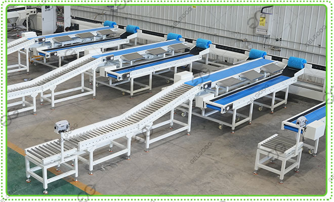 avocado-weight-sorting-line